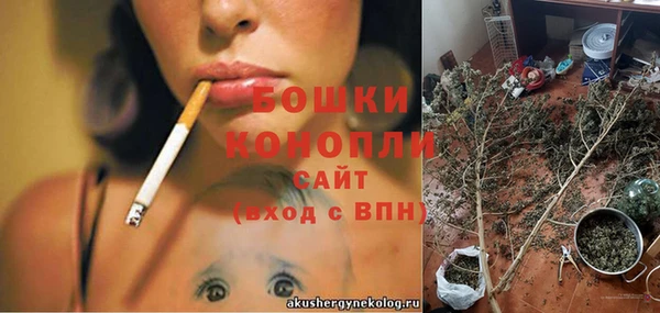 крисы Володарск