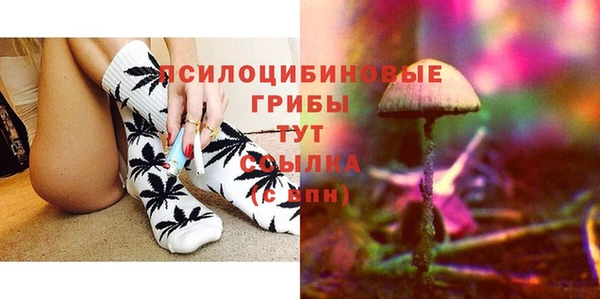 крисы Володарск